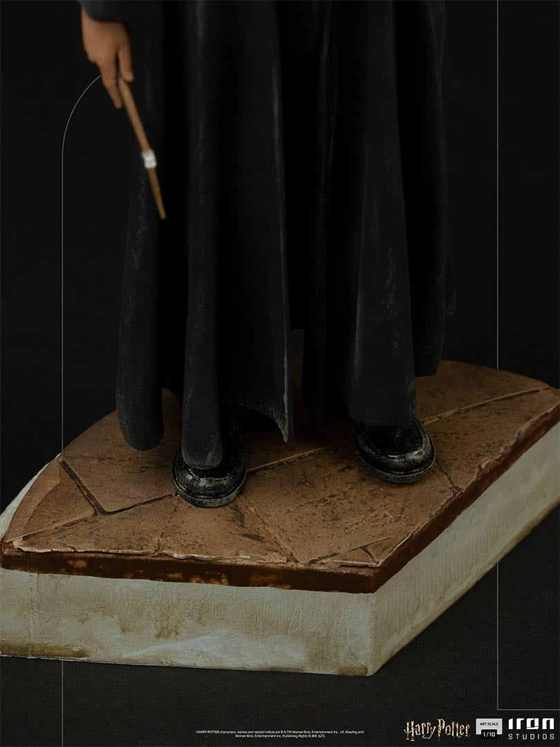Ron Weasley - Harry Potter image 5