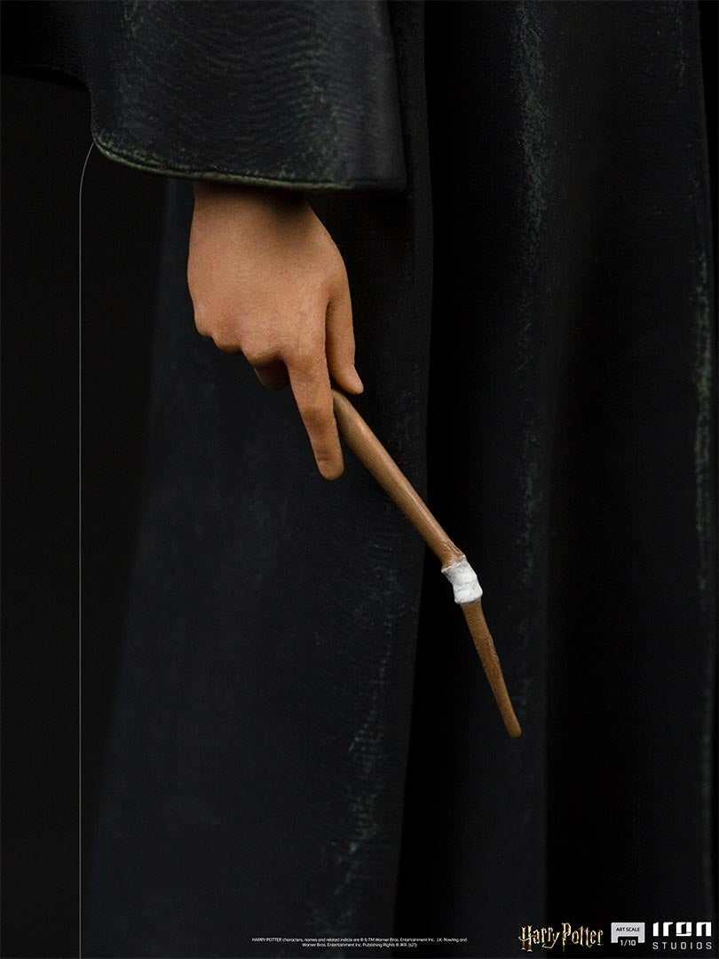 Ron Weasley - Harry Potter image 6
