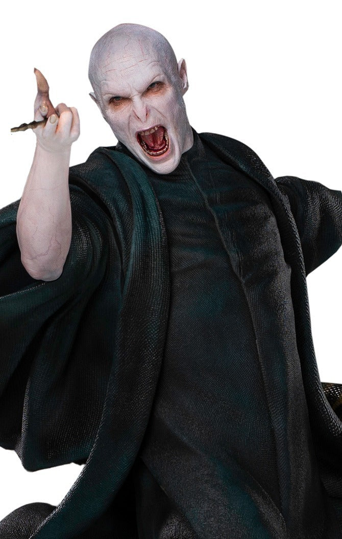 Voldemort and Nagini - Harry Potter image 2