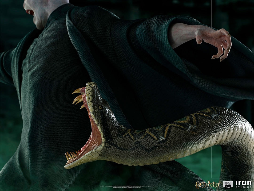 Voldemort and Nagini - Harry Potter image 3