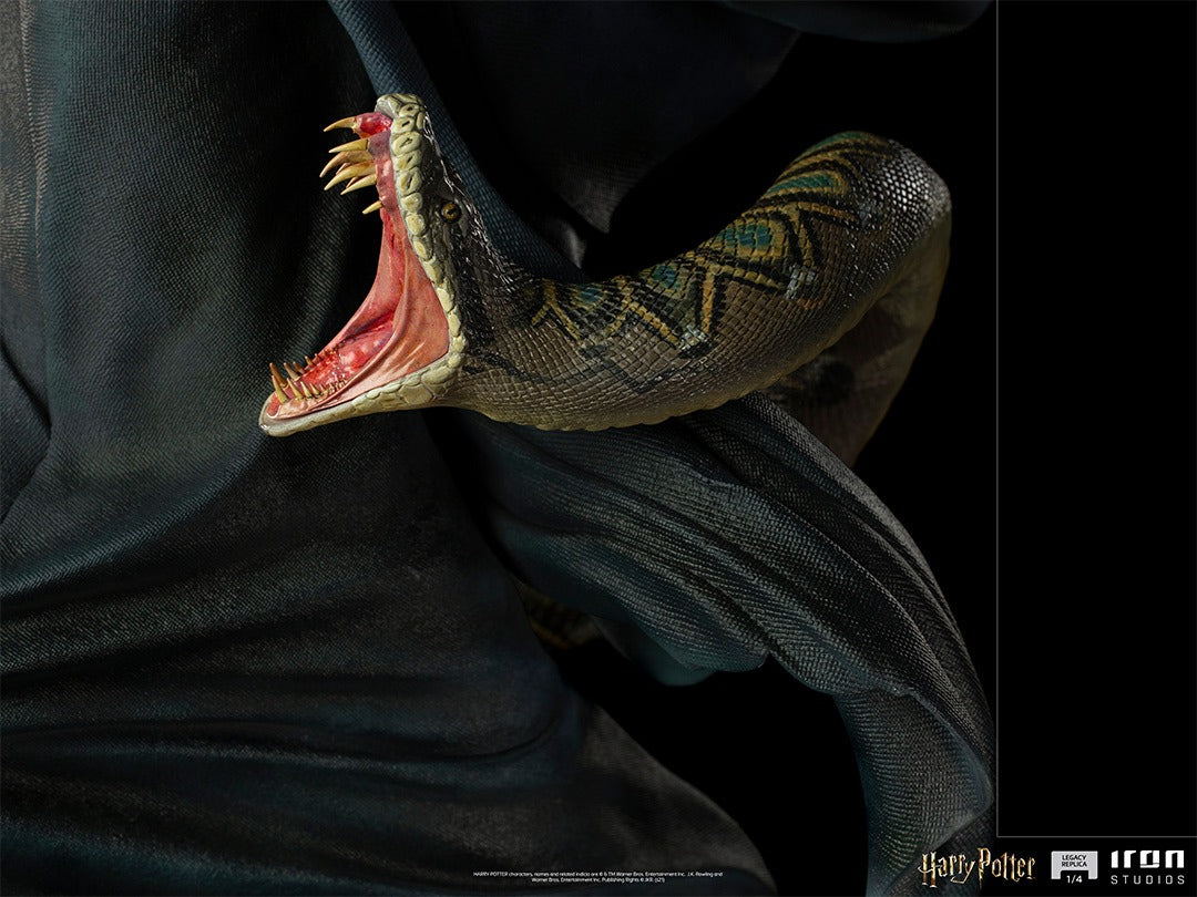 Voldemort and Nagini - Harry Potter image 6