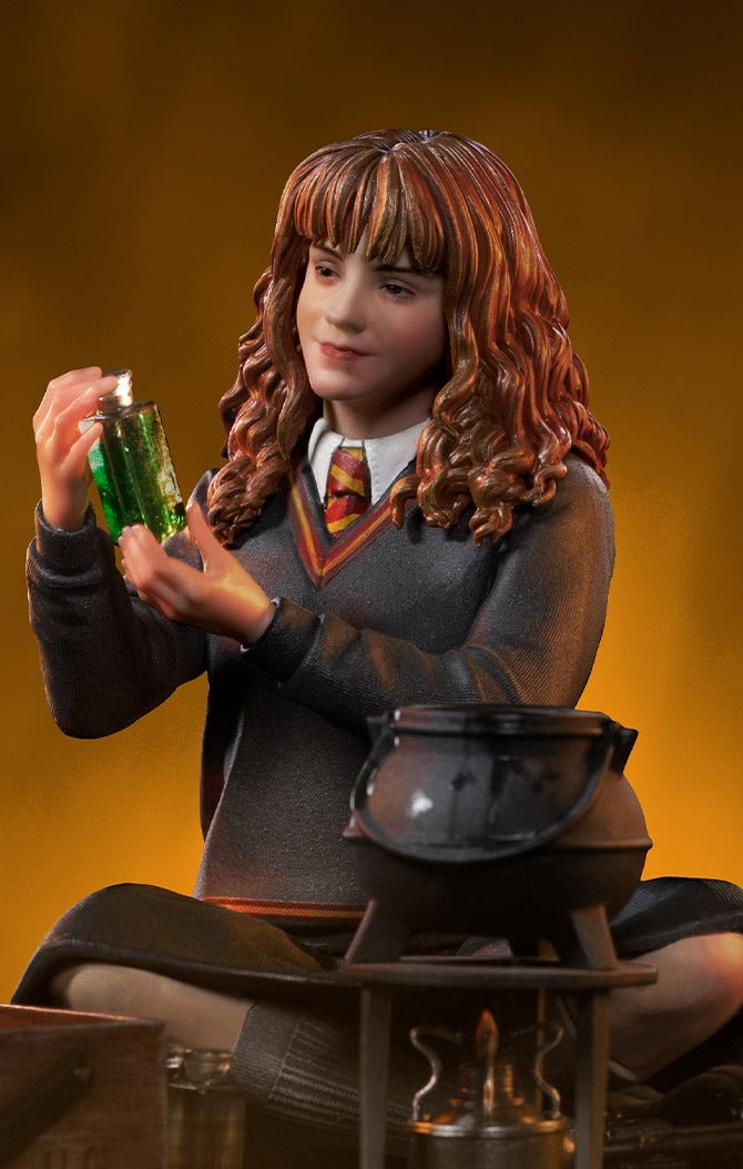 Hermione Granger Polyjuice - Harry Potter image 2