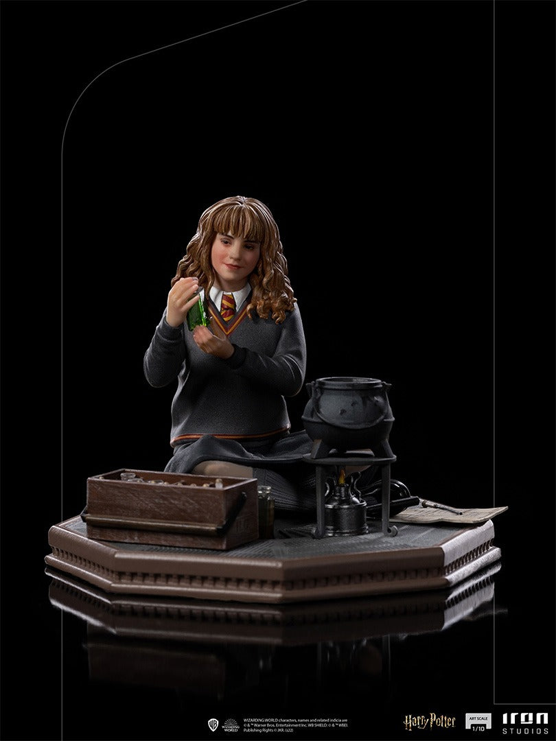 Hermione Granger Polyjuice - Harry Potter image 3