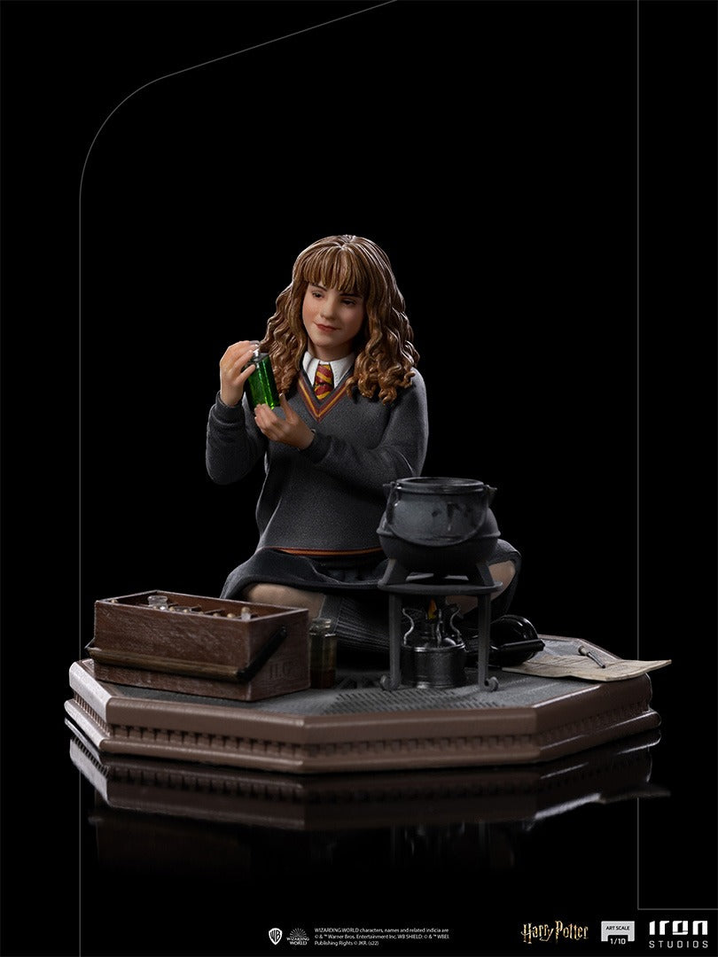 Hermione Granger Polyjuice - Harry Potter image 4
