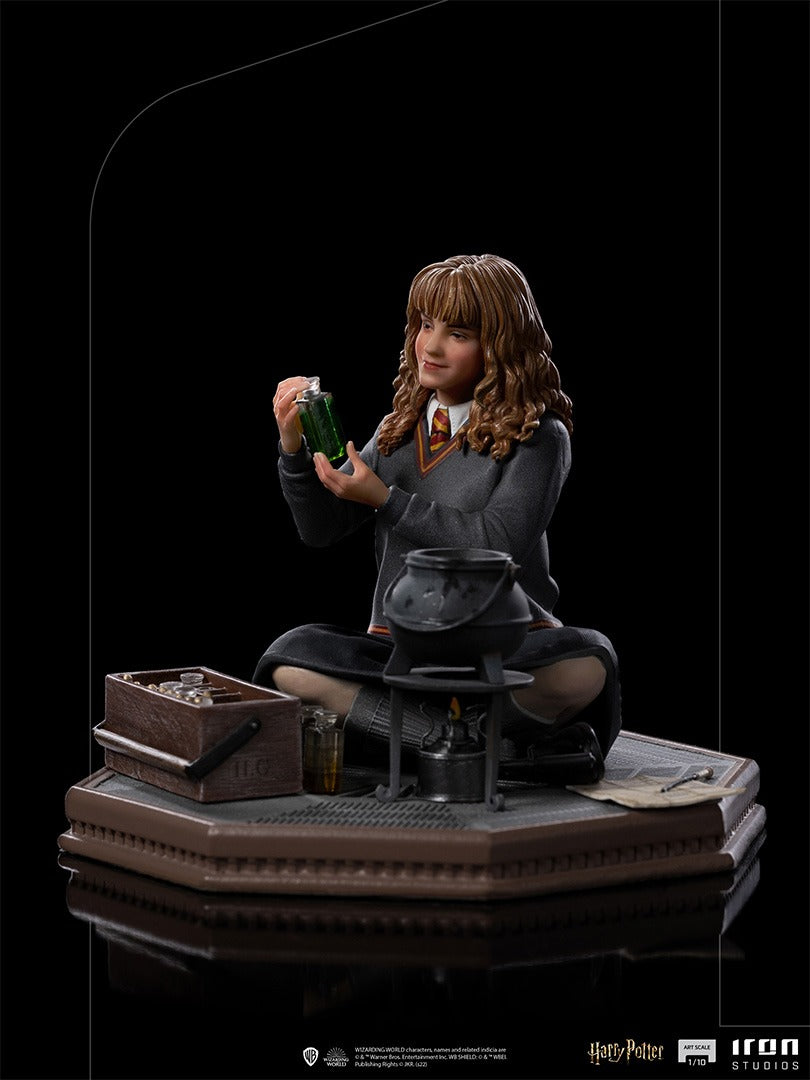 Hermione Granger Polyjuice - Harry Potter image 5