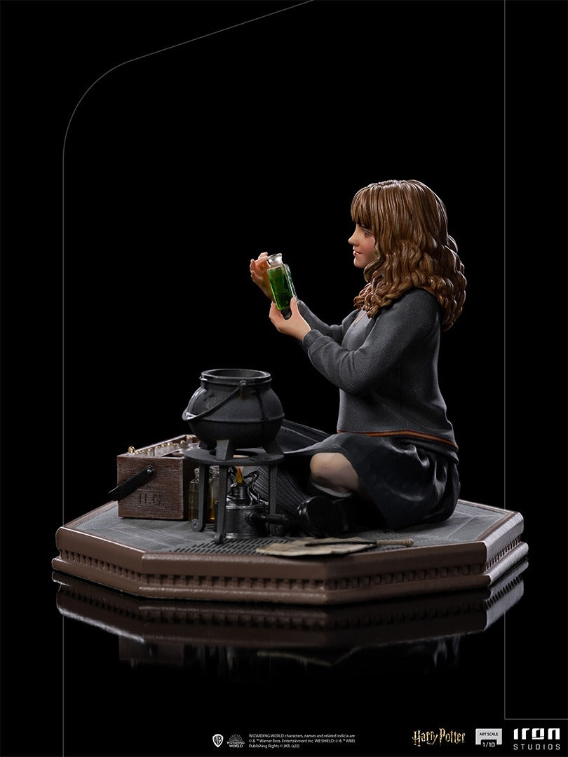 Hermione Granger Polyjuice - Harry Potter image 6
