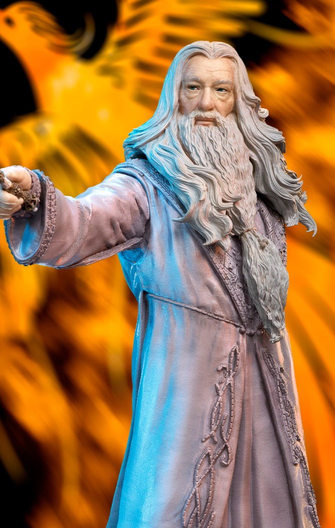 Albus Dumbledore - Harry Potter image 1
