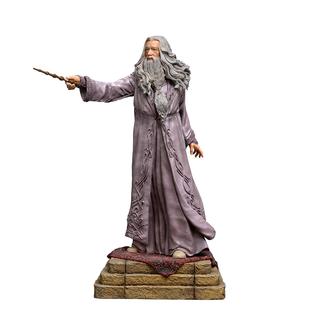 Albus Dumbledore - Harry Potter image 2