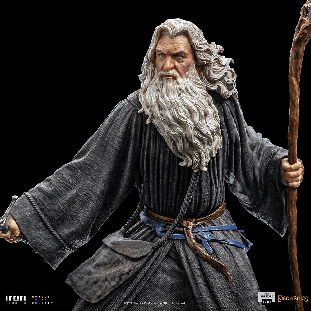 Gandalf - The Lord of the Rings - BDS image 10