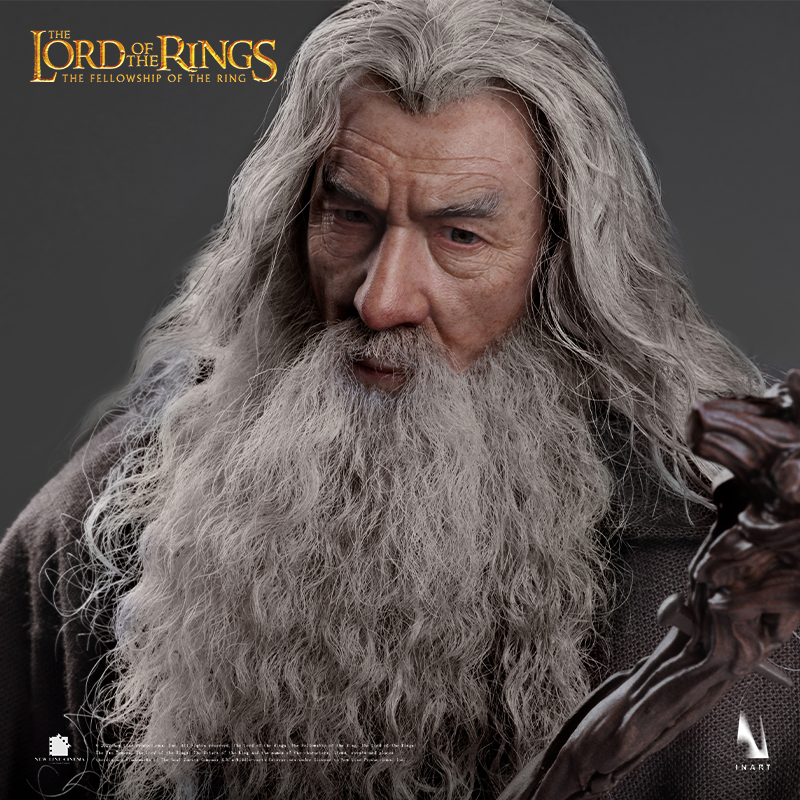Gandalf The Grey image 8