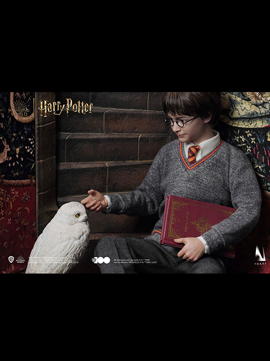 Harry Potter - Deluxe Version image 3