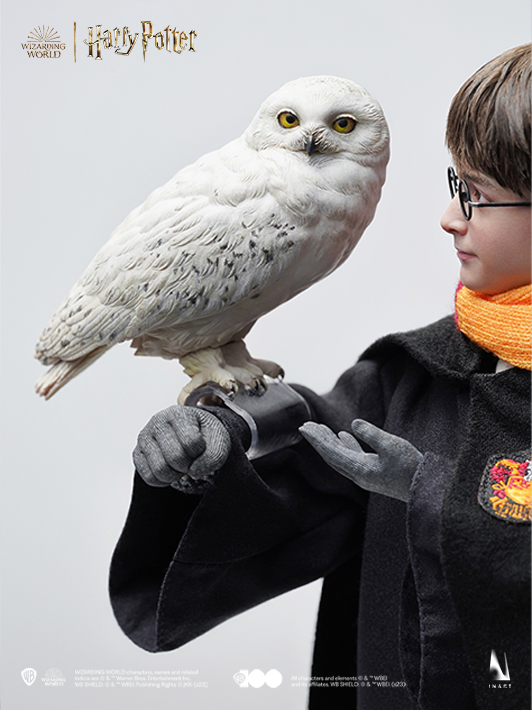 Harry Potter - Deluxe Version image 8
