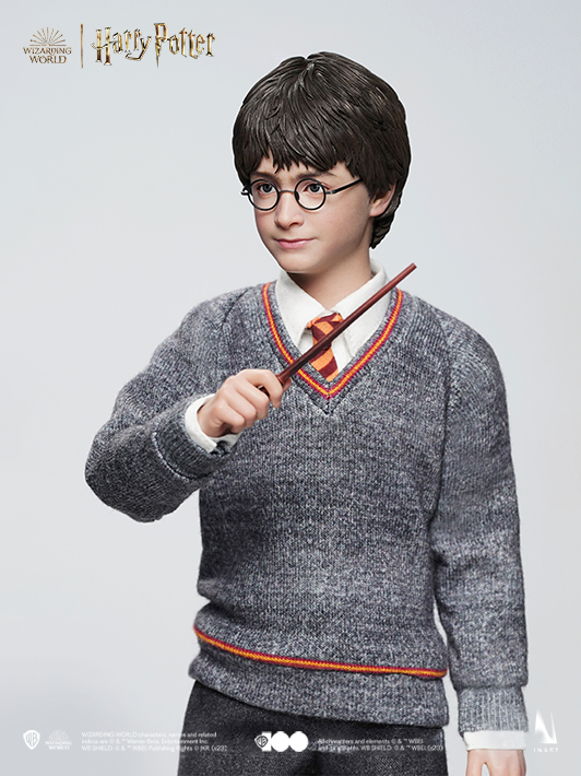 Harry Potter - Standard Version image 5