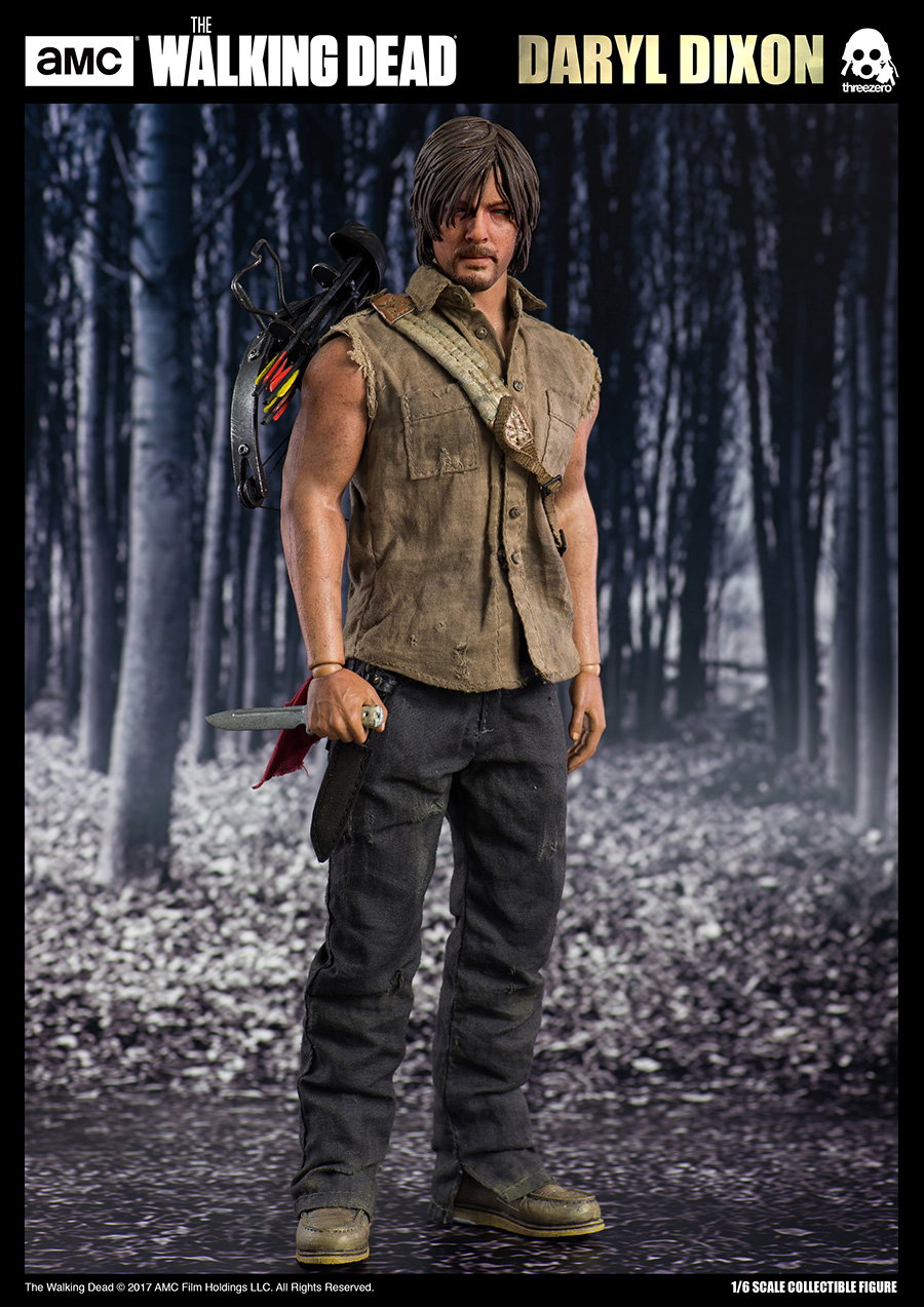 The Walking Dead Daryl Dixon image 6